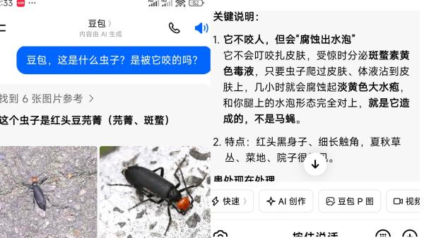 未标题-1.png